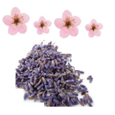 Fragrance Oil - Apple Blossom & Lavender (BBW Dupe) (bulk)