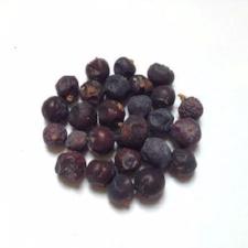 Essential Oil - Juniper Berry