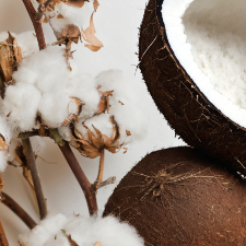 Fragrance Oil - Indigo, Cotton & Coconut Water