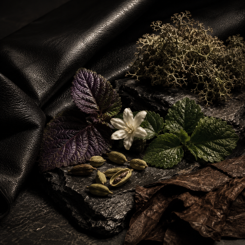 Fragrance Oil - Ombre Leather (Tom Ford® Dupe)