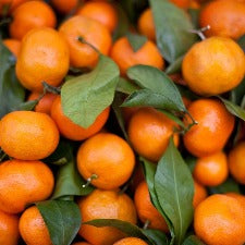 Fragrance Oil - Tangy Tangerine (bulk)