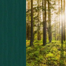 Wicked Beginner Candle Kit