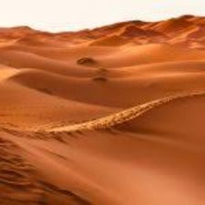 Fragrance Oil - Sands of Morocco (bulk)