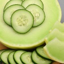 Fragrance Oil - Cucumber Melon