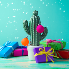 Fragrance Oil - Christmas Cactus
