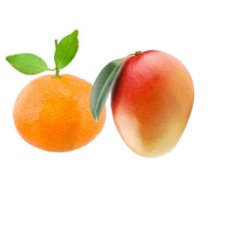 Fragrance Oil - Mango Tangerine